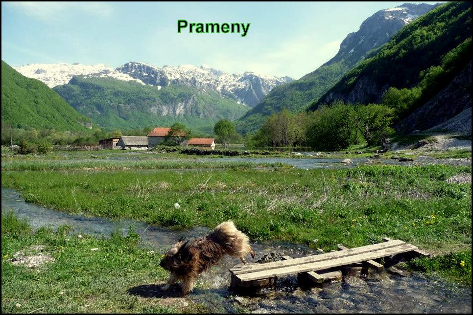 Alipašiny prameny
